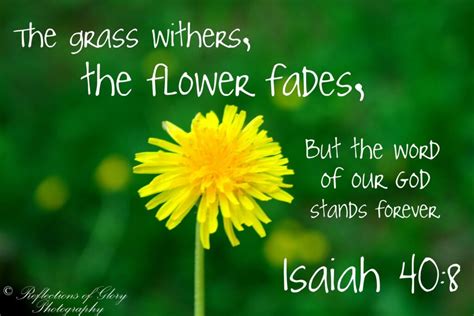 isaiah 40 8 in spanish.
